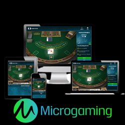 collection-jeux-blackjack-microgaming